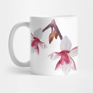 magnolia flower watercolor drawing Mug